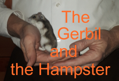 The Gerbil and the Hampster